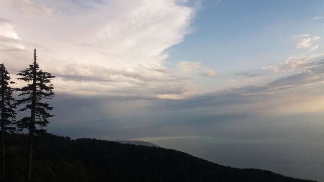 Гостевой дом Guest house Nikolay Гагра-46